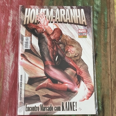 Homem-Aranha - 80 HQs Panini - Gibizaço - Sebo de HQs