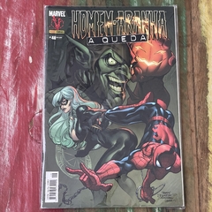 Homem-Aranha - 80 HQs Panini - comprar online