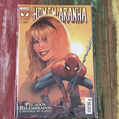 Homem-Aranha - 80 HQs Panini - loja online