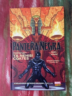 Pantera Negra: Vingadores do Novo Mundo - Livro Um