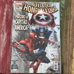 Homem-Aranha - 80 HQs Panini - Gibizaço - Sebo de HQs