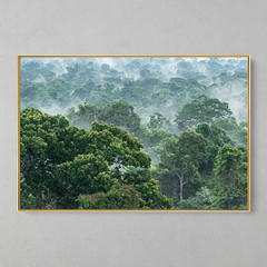 Quadro Decorativo Evaporação das Árvores na Floresta Amazônica - loja online