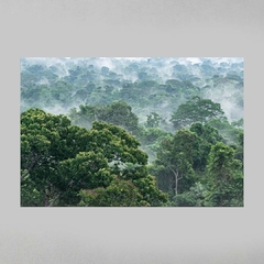 Quadro Decorativo Evaporação das Árvores na Floresta Amazônica