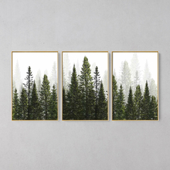 Quadros Decorativo Tríptico Floresta Verde - loja online