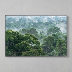 Quadro Decorativo Evaporação das Árvores na Floresta Amazônica - comprar online