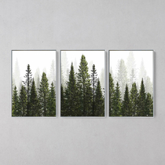 Imagem do Quadros Decorativo Tríptico Floresta Verde