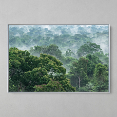 Imagem do Quadro Decorativo Evaporação das Árvores na Floresta Amazônica