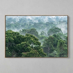 Quadro Decorativo Evaporação das Árvores na Floresta Amazônica na internet