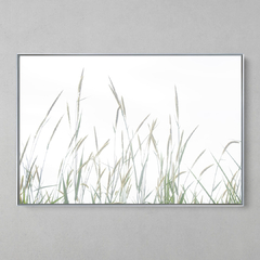 Imagem do Quadro Decorativo Plantação