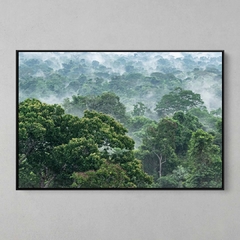 Quadro Decorativo Evaporação das Árvores na Floresta Amazônica