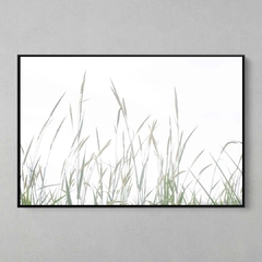 Quadro Decorativo Plantação