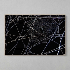 Quadro Decorativo Geometrias da Teia de uma Aranha - loja online