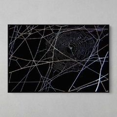 Quadro Decorativo Geometrias da Teia de uma Aranha - comprar online