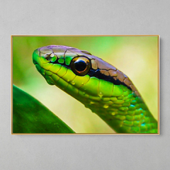 Quadro Decorativo A Cobra e a Chuva - loja online