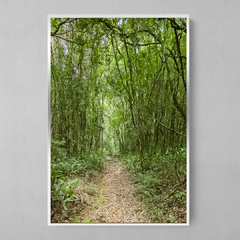 Imagem do Quadro Decorativo Caminhos da Serra, Mata Atlântica