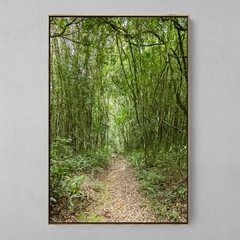 Quadro Decorativo Caminhos da Serra, Mata Atlântica na internet