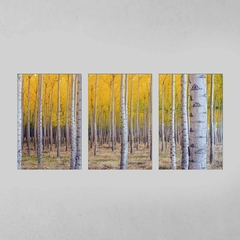 Quadro Decorativo Tríptico Floresta Folhas Amarela