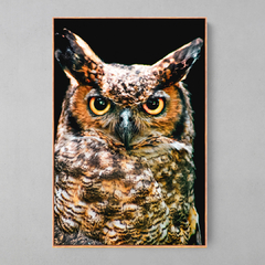 Quadro Corujão de Orelha (Bubo Virginianus) - Ellquadros 