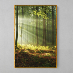 Quadro Raios de Sol na Floresta - loja online