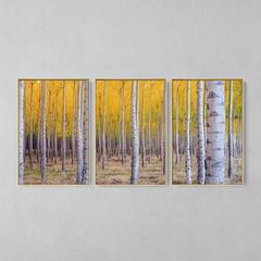 Quadro Decorativo Tríptico Floresta Folhas Amarela - loja online