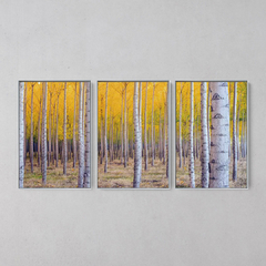 Imagem do Quadro Decorativo Tríptico Floresta Folhas Amarela