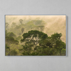 Imagem do Quadro Decorativo Frescor da manhã, Sul da Amazônia