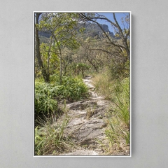 Quadro Decorativo Caminhos do Cerrado - comprar online