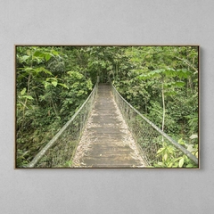 Quadro Decorativo Conexão Floresta na internet