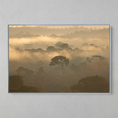 Imagem do Quadro Decorativo Entardecer na Floresta Amazônica