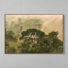 Quadro Decorativo Frescor da manhã, Sul da Amazônia na internet