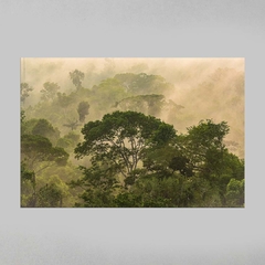 Quadro Decorativo Frescor da manhã, Sul da Amazônia