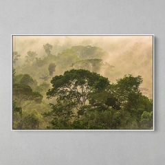 Quadro Decorativo Frescor da manhã, Sul da Amazônia - comprar online