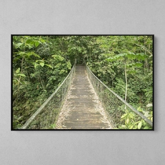 Quadro Decorativo Conexão Floresta