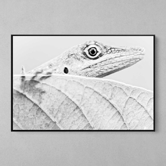 Quadro Decorativo Lagarto Mata Atlântica da Bahia