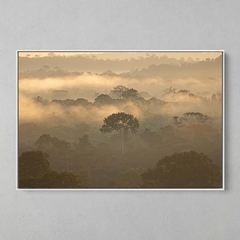 Quadro Decorativo Entardecer na Floresta Amazônica - comprar online