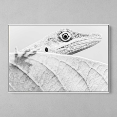 Quadro Decorativo Lagarto Mata Atlântica da Bahia - comprar online