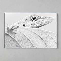 Imagem do Quadro Decorativo Lagarto Mata Atlântica da Bahia