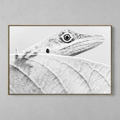 Quadro Decorativo Lagarto Mata Atlântica da Bahia na internet