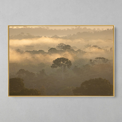 Quadro Decorativo Entardecer na Floresta Amazônica - loja online