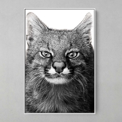 Quadro Decorativo Leopardus Pajeros na internet