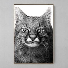 Quadro Decorativo Leopardus Pajeros - Ellquadros 