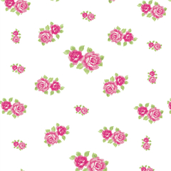 Papel de Parede Floral 053