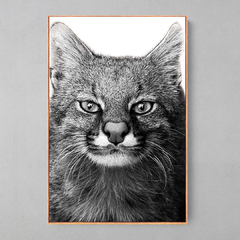 Quadro Decorativo Leopardus Pajeros - loja online