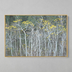 Quadro Decorativo Floresta Decídua - loja online