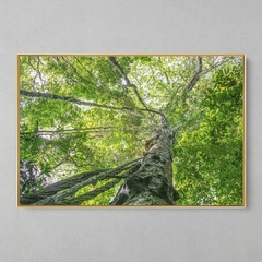 Quadro Decorativo O Angelim de Pedra - loja online