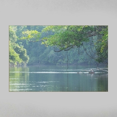 Quadro Decorativo Rio Cristalino, Sul da Amazônia