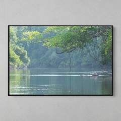 Quadro Decorativo Rio Cristalino, Sul da Amazônia