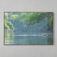 Quadro Decorativo Rio Cristalino, Sul da Amazônia na internet