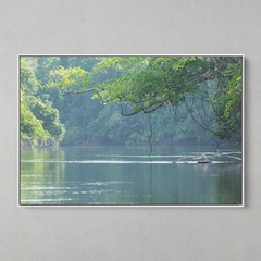 Quadro Decorativo Rio Cristalino, Sul da Amazônia - comprar online