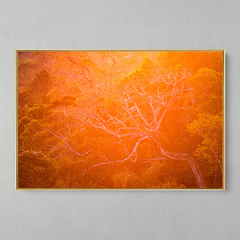 Quadro Decorativo Backligth da Golden Hour na Amazonia - loja online